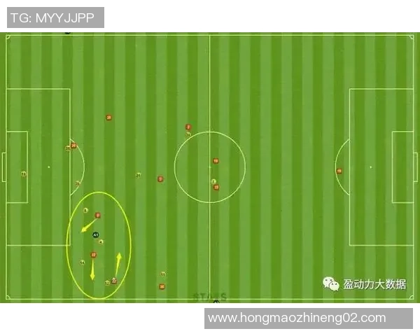 南京排球队创新盯防战术解析助力球队提升竞技水平与战术灵活性