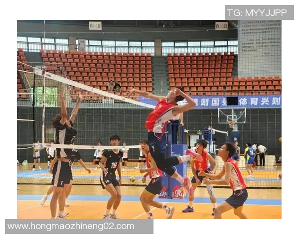重庆排球队选拔赛精彩点评团队配合与战术执行的完美结合