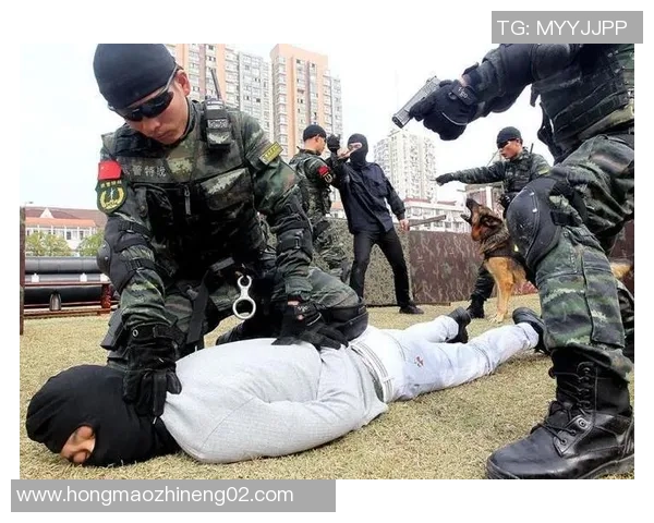 上海排球队反击战术分析与成败得失的深度剖析