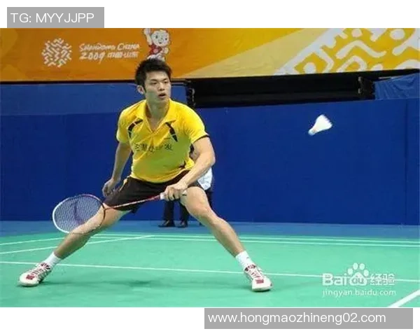 南京羽毛球队进攻战术解析与未来发展趋势探讨