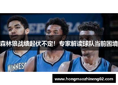 森林狼战绩起伏不定！专家解读球队当前困境